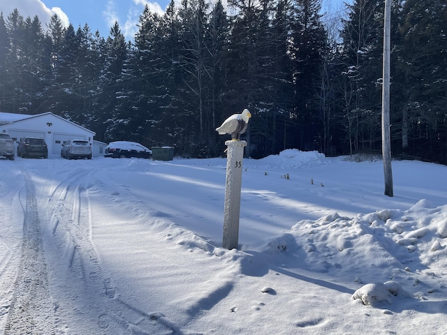 view of snowy yard