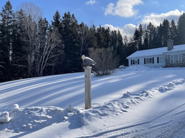 view of snowy yard