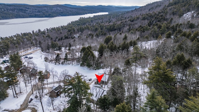 snowy aerial view with a mountain view