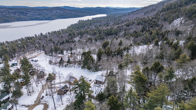 snowy aerial view with a mountain view