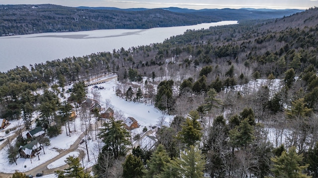 snowy aerial view with a water and mountain view