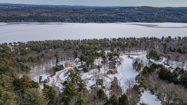 snowy aerial view with a water view