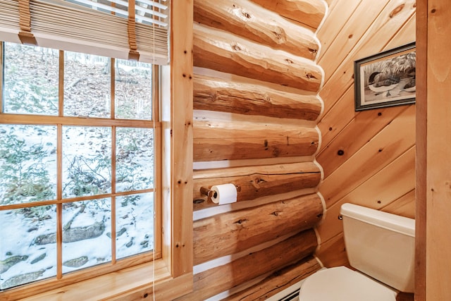 room details featuring toilet and rustic walls