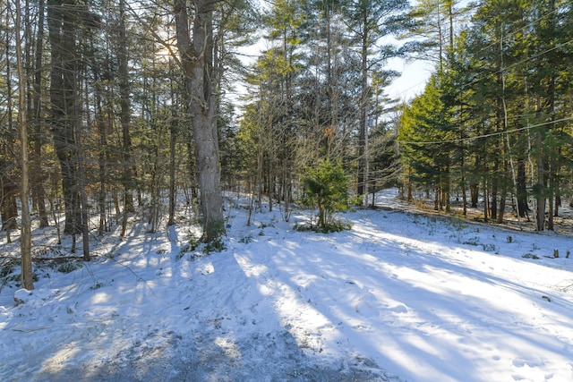 view of yard layered in snow