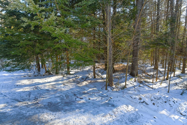 view of snowy landscape