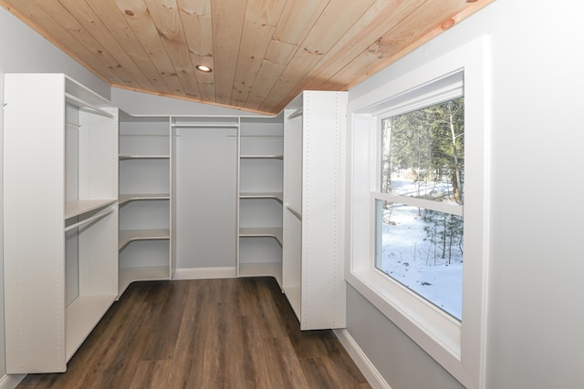 walk in closet with lofted ceiling and dark hardwood / wood-style floors