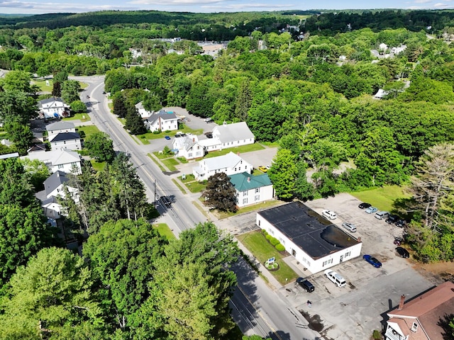 bird's eye view