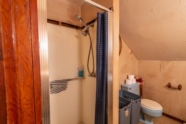 bathroom featuring a shower, toilet, and lofted ceiling