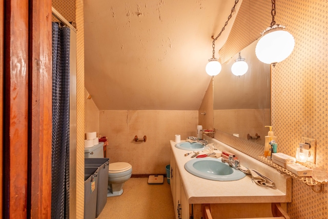 bathroom featuring toilet, vanity, and vaulted ceiling