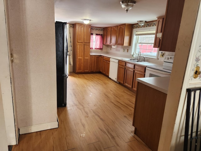 kitchen with sink, white appliances, and light hardwood / wood-style flooring