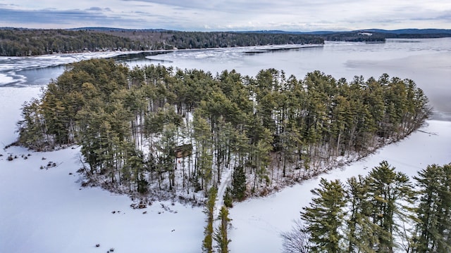 snowy aerial view with a water view