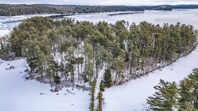 snowy aerial view with a water view