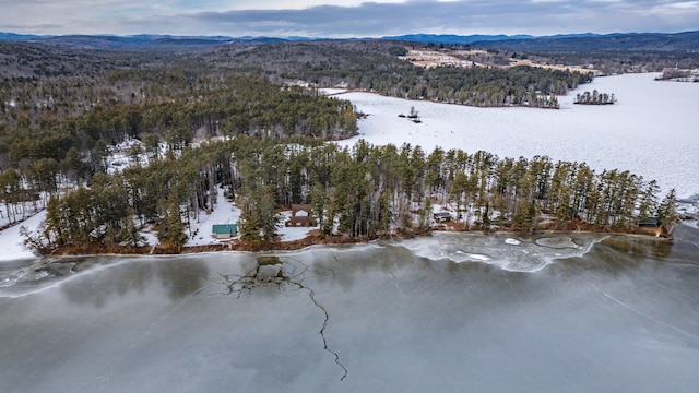 snowy aerial view featuring a mountain view