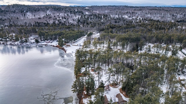 snowy aerial view with a water view