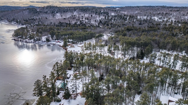 snowy aerial view featuring a mountain view