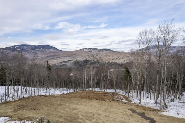 LOT43 Morganite Way, Newry, ME 04261 - photo 4