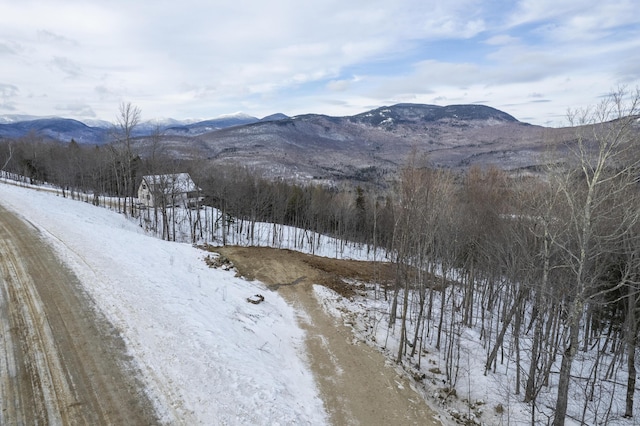 LOT43 Morganite Way, Newry, ME 04261 - photo 3