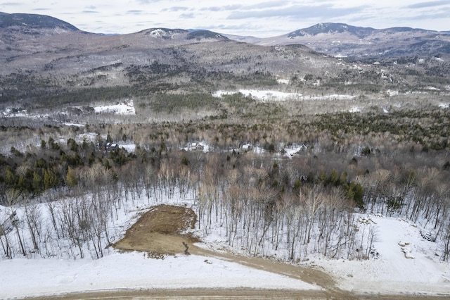 LOT43 Morganite Way, Newry, ME 04261 - photo 2