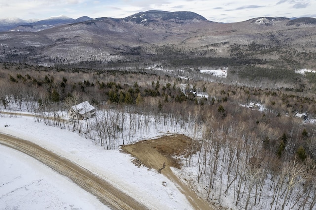 LOT43 Morganite Way, Newry, ME 04261 - photo 7