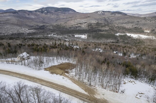 LOT43 Morganite Way, Newry, ME 04261 - photo 8