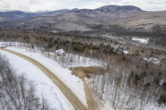 LOT43 Morganite Way, Newry, ME 04261 - photo 9
