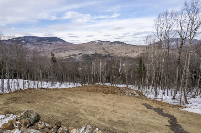 LOT43 Morganite Way, Newry, ME 04261 - photo 12