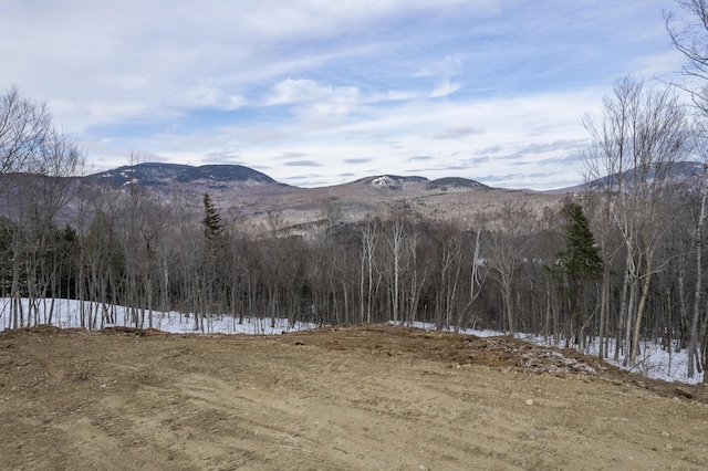 LOT43 Morganite Way, Newry, ME 04261 - photo 13