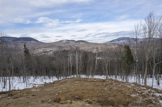 LOT43 Morganite Way, Newry, ME 04261 - photo 14