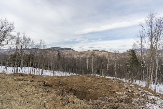 LOT43 Morganite Way, Newry, ME 04261 - photo 15
