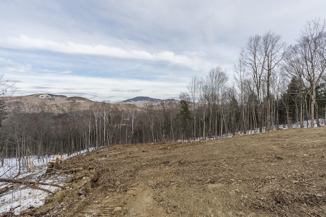 LOT43 Morganite Way, Newry, ME 04261 - photo 16