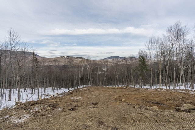 LOT43 Morganite Way, Newry, ME 04261 - photo 17
