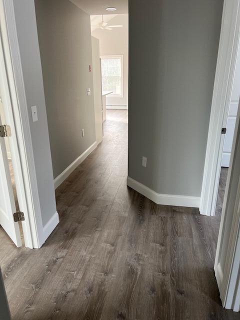 hallway featuring dark hardwood / wood-style flooring