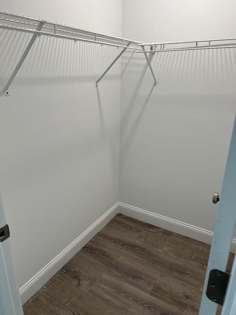 walk in closet featuring dark wood-type flooring