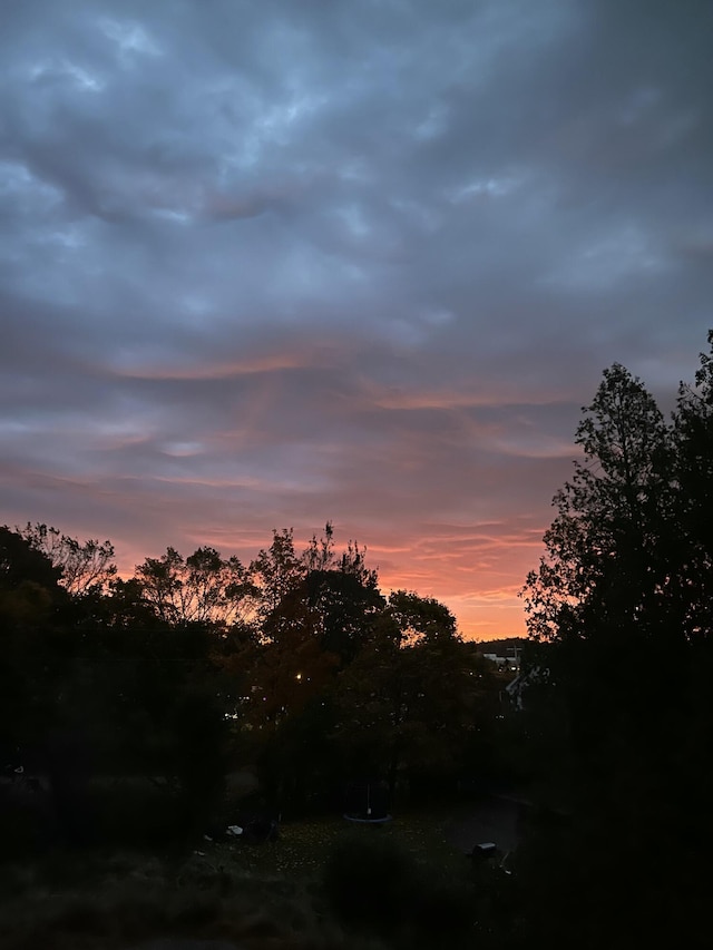 view of nature at dusk