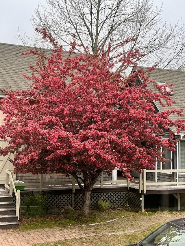 exterior space with a deck