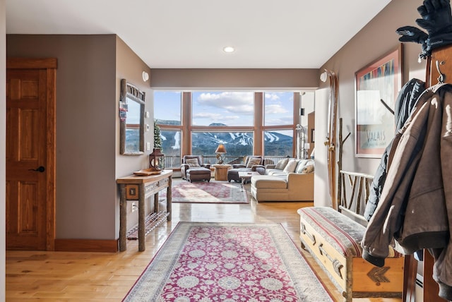 living area featuring light hardwood / wood-style flooring