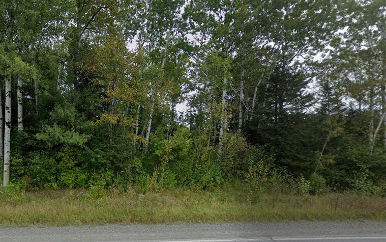 287 Washburn Rd, Presque Isle, ME 04769 - photo 1