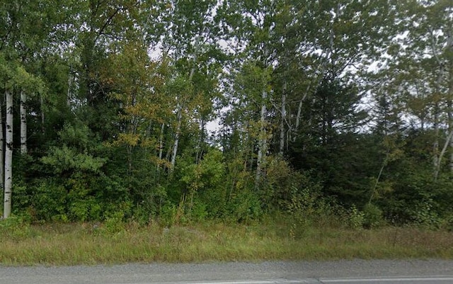 287 Washburn Rd, Presque Isle, ME 04769 - photo 1