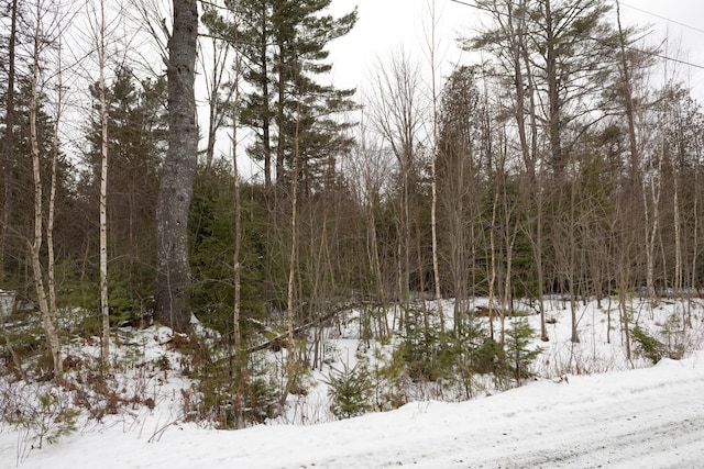 Listing photo 3 for LOT8 Kennel Brook Dr, Lamoine ME 04605