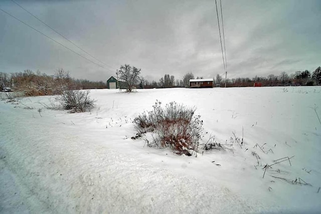 view of yard covered in snow