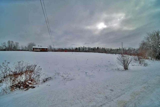 view of yard covered in snow