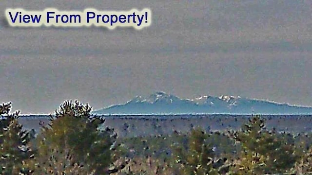 property view of mountains with a water view