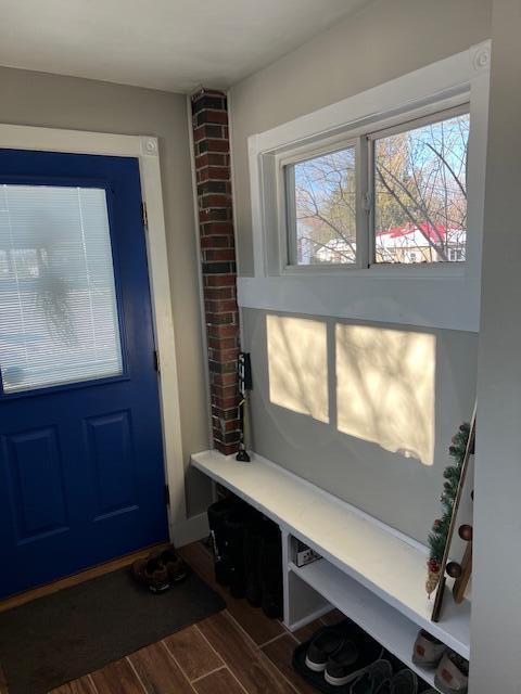 mudroom featuring plenty of natural light