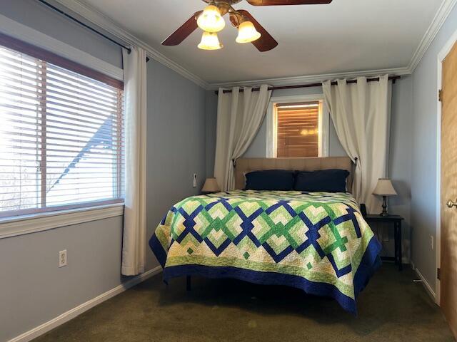 carpeted bedroom featuring ornamental molding and ceiling fan