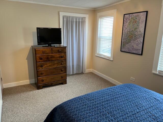 carpeted bedroom with crown molding