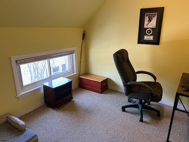 office space with carpet flooring and vaulted ceiling