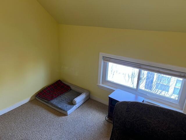 bedroom with lofted ceiling and carpet floors