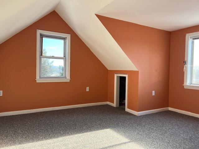 additional living space featuring carpet floors and vaulted ceiling