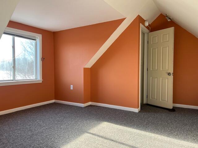 additional living space featuring lofted ceiling and carpet floors