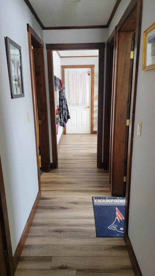 hallway with crown molding and light hardwood / wood-style flooring